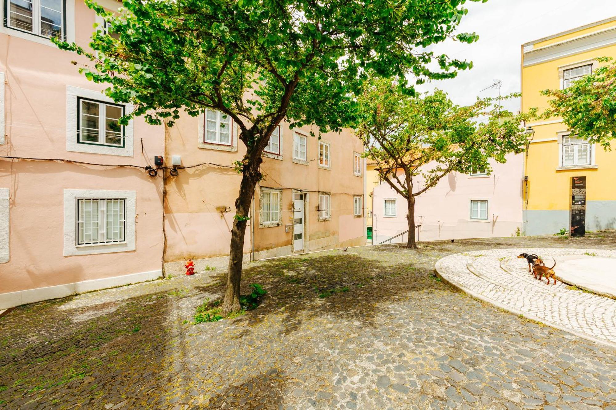 Rent4Rest Lisbon Downtown Tiny Studio Apartments Exterior photo